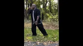 Tai Chi - Wave Hands Like Cloud