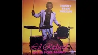 Honky Style Polkas