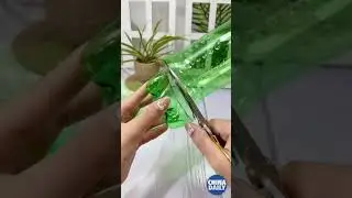 Nga shishe plastike n&euml; saksi