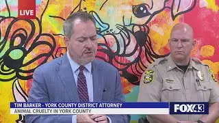 Man sentenced in animal cruelty case involving pit bull
