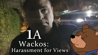 1A Auditors - Sovereign Citizens, But Worse Somehow (Live Clip)