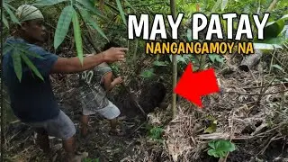 🇵🇭 MAY PATAY NANGANGAMOY KINAIN NG BAYAWAK