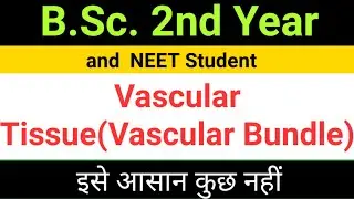 Vascular tissue# Vascular Bundle# Type of Vascular Bundle# B.Sc. 2 nd Year, Botany 1st Paper