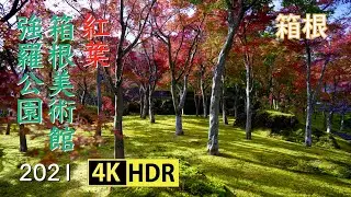 2021 箱根美術館と強羅公園の紅葉(4K-HDR) Autumn Colors At Hakone Museum Of Art & Gora Park(UHD-HDR)