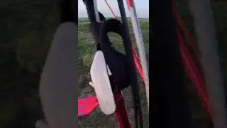 Low flying muddy creek #shortvideo #shorts #fun #flying #summer #hate #winter #ppg #paramotor
