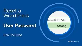 How to troubleshoot a user that cannot login in WordPress