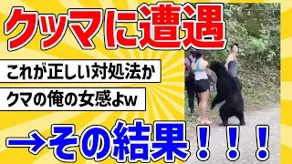 【2ch動物スレ】野生のクッマに遭遇した女の子達の対処法→その結果！！