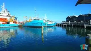 Fremantle Fishing Boat Harbour | Sightseeing Pass