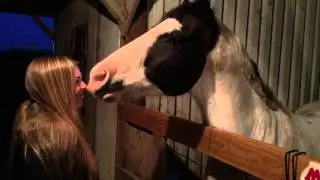 Marshmallow gives kisses