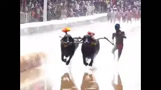 IRUVAIL PAANILA THAAATE ❤️ IRUVAIL KAALE❤️