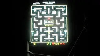 Ms. Pac-Man, fast speed, arcade version. (Excellent player!) 370,000+ points.