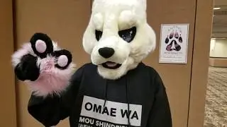 BLFC 2018 Ft. Y and Frens