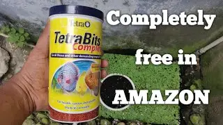 Fake product Tetra bits || Amazon service || How to return product