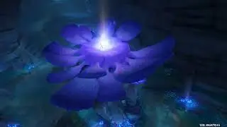 Water the Dragonbone Flower using the Waters of Lethe (Genshin 25/3/2022 23h46)