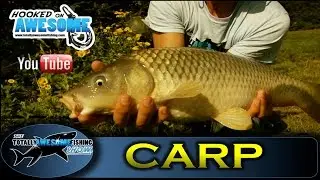 OLD SCHOOL FISHING! CARP on BAKED BEANS - TAFishing Show