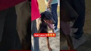 Just Love It 😍😍😍|| Jorhat Dog Show ||