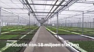 Promotievideo Gebr. Alkemade BV