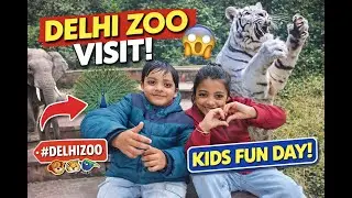 Delhi zoo vlog 2026 | Delhi chidiya ghar | delhi zoo all animals video 2026 | delhi zoo #familyvlog