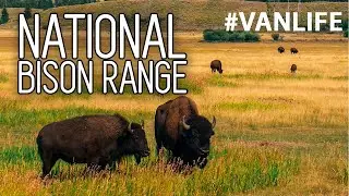 The National Bison Range | TRAVEL | MONTANA