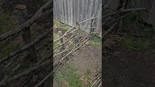 Budget Diy Garden Yard Stick Fence #garden #diy #fence #yard