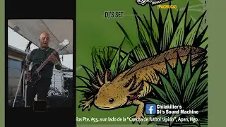 The Drunks en vivo | A.C.A.B / Evil (The 4-Skins) | Ska en el Altiplano Vol. 1 | Apan 2025. FURTIVOS
