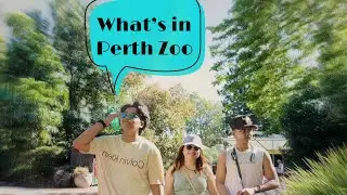 Vlog 3: Perth Zoo (First time seeing these Wild Animals)