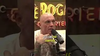 Elon Musk Exposes USAID: The Shocking Truth Behind Systemic Deception!  #joerogan