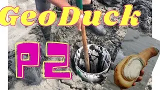 OUTDOOR ACTIVITIES: GEO DUCK DIGGING P2 | CLAMING | HORSE NECK CLAM