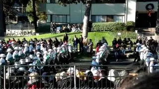 ローズパレード2011 本番　 Rose Parade North Japan Honor Green Band