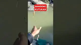 Micro fishing #fishing #microfish #mancing #shorts