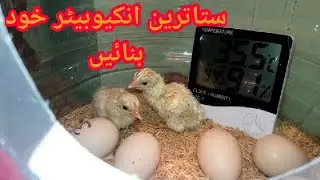 How to make a inCuBatOr at home mad complet incubator