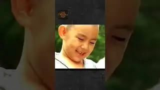 spring summer fall winter and spring movie explain #short #ytshort #explain