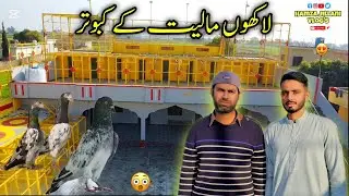 Million Worth Pigeon Farm | Luxury Kabootar Setup | Rare Breeds 🕊️🔥 | Hamza Jillani Vlog