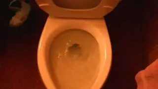 Video Chronicles 1