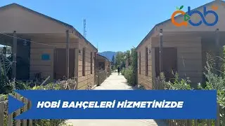 Hobi Bahçeleri Hizmetinizde | Konyaaltı
