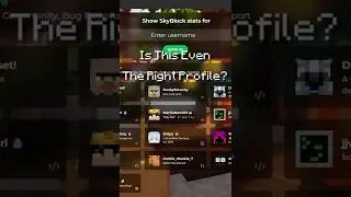 Это вообще подходящий профиль? | Обзоры профилей Hypixel Skyblock [50]