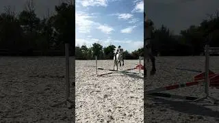 Throwback to the #summer days jumping #bareback ! #horse #equestrianlife #ponytraining #showjumping