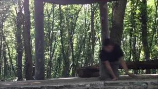 Summer in the woods