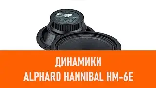 Распаковка динамиков Alphard Hannibal HM 6E