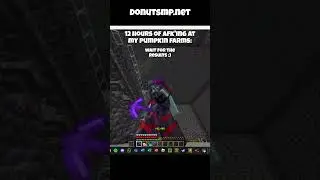 Donut SMP - Pumpkin Farm NEW META #donutsmp