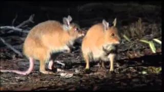 ABCTV Catalyst (01.06.06) - Desert Diggers