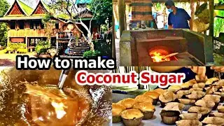 How to make Coconut Palm Sugar - Organic Coconut Sugar - Coconut Farm | Samut Songkhram travel