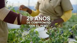 Grupo Silvestre: Video Institucional