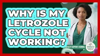 Why Is My Letrozole Cycle Not Working? - Fertility Support Channel