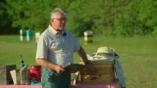 Основы пчеловодства с Convoy of Hope
