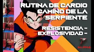 RUTINA DE CARDIO ESTILO DRAGON BALL