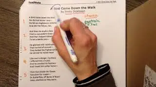 A Bird Came Down the Walk