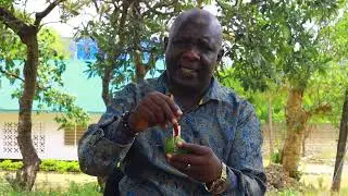 WATATUPIANA MIKONO WENYEWE