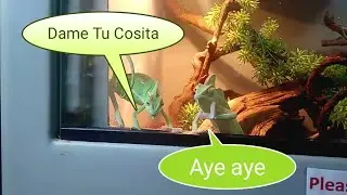 Dame Tu Cosita