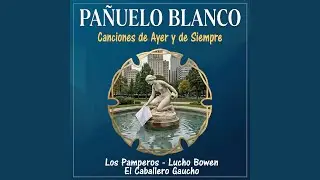 Pañuelo Blanco